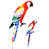 Parrots painting